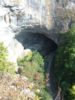 Photo of the long tunnel formed by 
